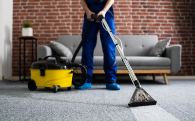 Why You Should Get Your Carpets Cleaned Regularly