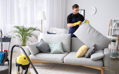 How Often Should I Get My Upholstery Cleaned?