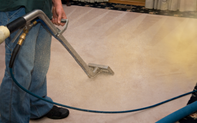 When to Get My Carpets Cleaned 